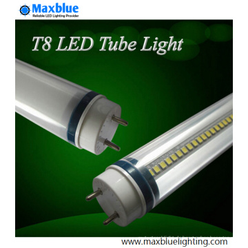 TUV Ce genehmigt 600mm 10W 2FT T8 LED Tube Light